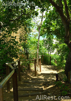 Sila Evason Hideaway 31